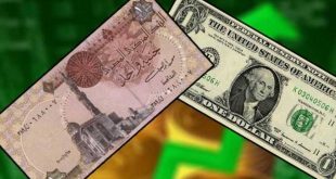 رويترز : دول الخليج توجه 22 مليار دولار لمصر للتغلب على أزمة العملة